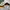Walksecond_street