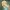 𐙚 ₊𖦹 𝄞𓍢ִ໋pidaaa ⋆