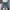 Grunge Reworked Mini skirt Wanita multicolor navy photo 3