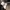 Yves Saint Laurent YSL Luxury Cardigan Wanita tan cream photo 6