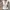 Brandy Melville Minimalist Casual Cami top Wanita white photo 3