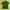 Casual Polo shirt Pria green photo 1