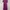 ZARA Luxury Minimalist Midi dress Wanita purple photo 1