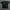 Yves Saint Laurent YSL T-shirt Wanita Navy