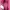Michael Kors Minimalist Reworked Bags & purse Wanita burgundy photo 6