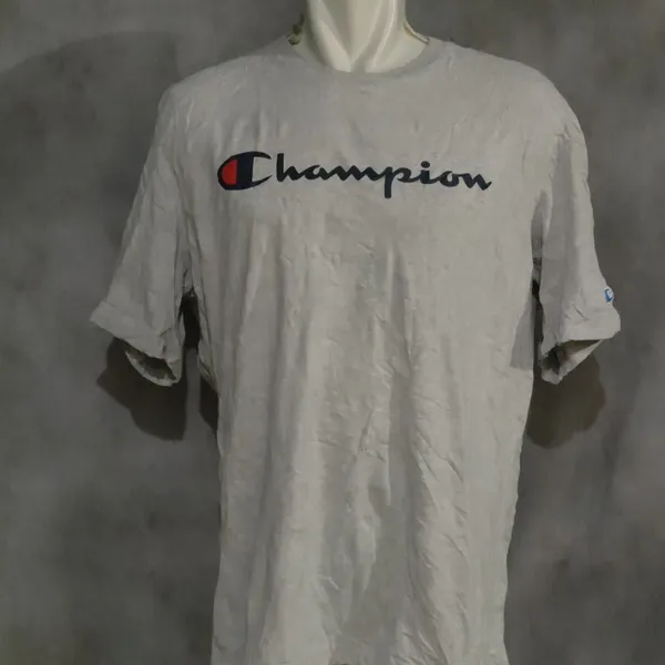 Champion Streetwear Casual T-shirt Pria gray photo 1