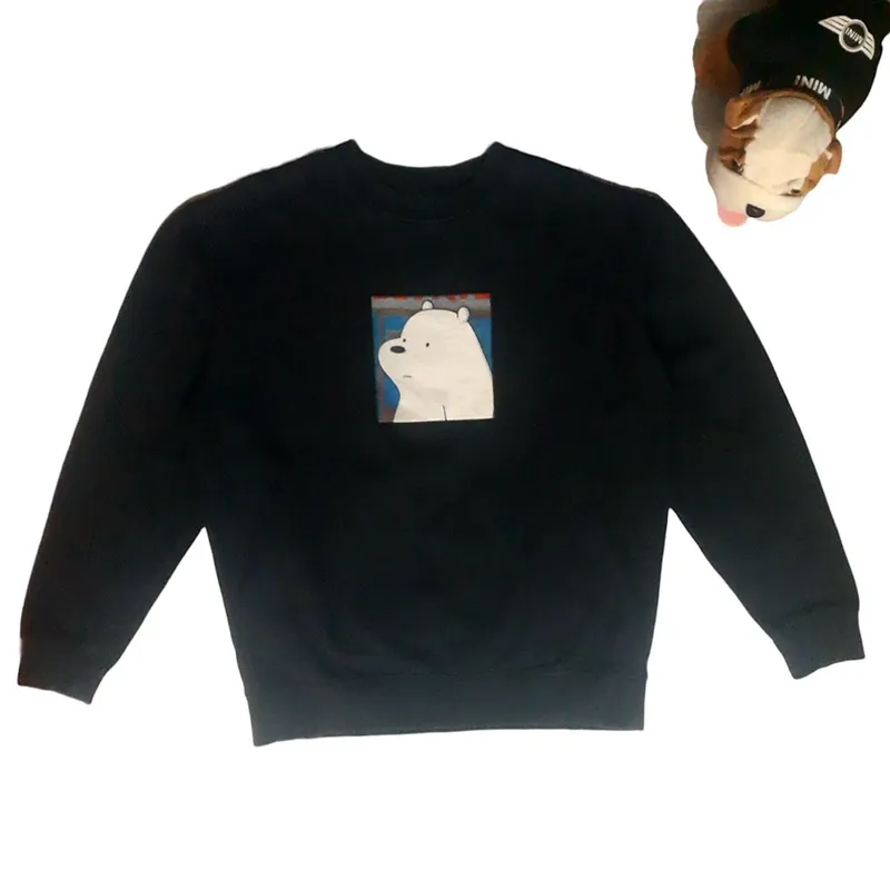Spao we bare bears sweater sale