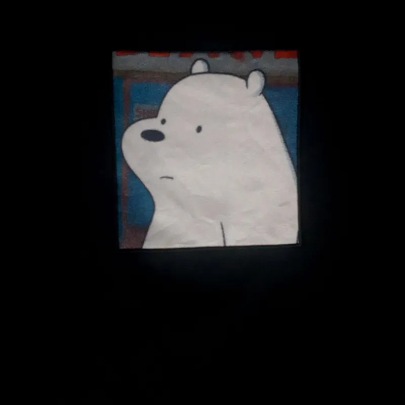 Spao we bare bears sweater on sale