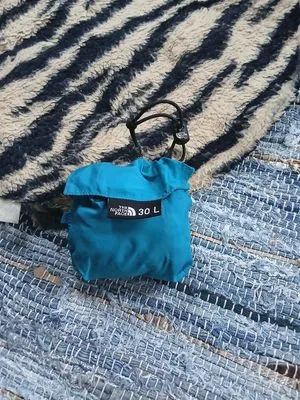 The North Face Gorpcore Sportswear Bag Pria blue