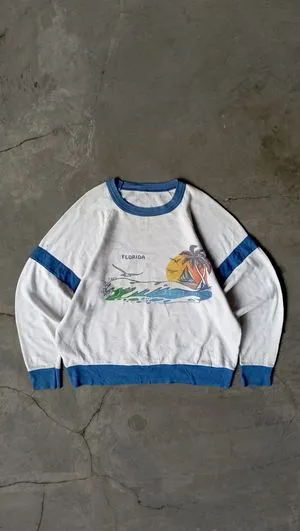 90's Vintage Sweatshirt Raglan Two Tone Colour Boxy
