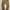 Dickies Carpenter Rinsed Dark Brown