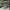 GIUSEPPE ZANOTTI GREY TRAINERS , GIUSEPPE ZANOTTI GREY , SNE