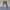 Wilderness Experience Utility Pants size tag S