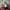 WHITE ISLA TOP NUDE THE LABEL (PRELOVED)