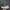 Adidas Sportswear Sneakers Pria green gray