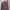 Vision Street Wear Streetwear Skater Sweater Pria tan