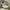 Nike Streetwear Sportswear Sneakers Wanita white black