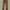 Old Navy Streetwear Sportswear Pria brown