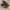 Nike Streetwear Sportswear Sneakers Pria brown black