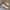 Nike Streetwear Sportswear Sneakers Pria purple cream