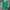 Canterbury Casual Polo shirt Pria green