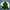 Polo Ralph Lauren Vintage Casual Trench coat Pria white green