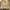 Eddie Bauer Casual Harrington jacket Pria cream