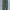 Uniqlo Casual Casual pants Pria green