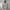 WHO.A.U Casual Hoody Pria gray