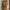 ZARA Vintage Coquette Pencil skirt Wanita tan brown