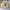 Fluke Skateboard Streetwear Skater Sweater Pria cream