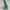 Columbia Gorpcore Track jacket Pria green