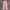 Versace Luxury Casual Casual trouser Wanita pink