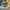 nike air jordan 1 low man  