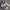 Nike Sportswear Casual Sneakers Pria white black