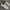 Reebok Streetwear Casual Sneakers Pria white