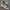 New Balance Streetwear Casual Sneakers Pria gray