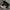 Adidas Streetwear Casual Sneakers Pria white black