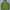 Decathlon Forclaz Outdoor Mountain Puffer Jacket 
