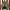 Hugo Boss Vintage Luxury Parka Pria green gray