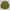Oakley Streetwear Casual Casual shirt Pria yellow khaki