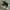 Adidas Streetwear Casual Sneakers Pria white black