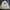 Vintage Y2K Harrington jacket Pria cream