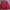 Vintage Y2K Harrington jacket Pria red