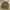 Stussy stock cuff beanie hat
