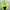 Diadora Y2K Sportswear Track jacket Pria green