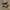 Vans Era Customed Api-Api