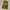 Billonaire boys club space helmet balaclava