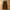Dazy by shein parachute cargo pants