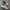 Nike Streetwear Casual Sneakers Pria white tan